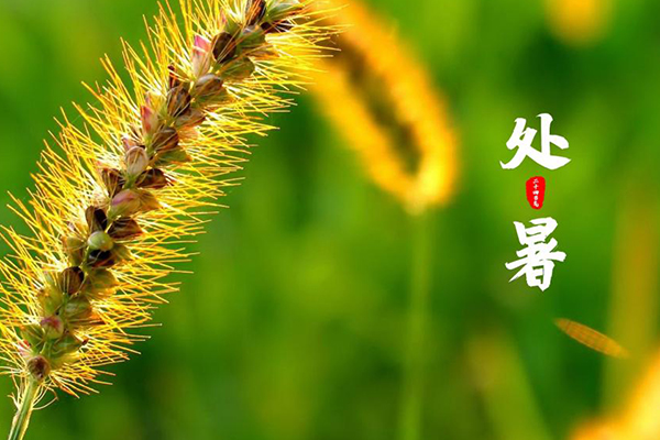 thumb_2023082462813437